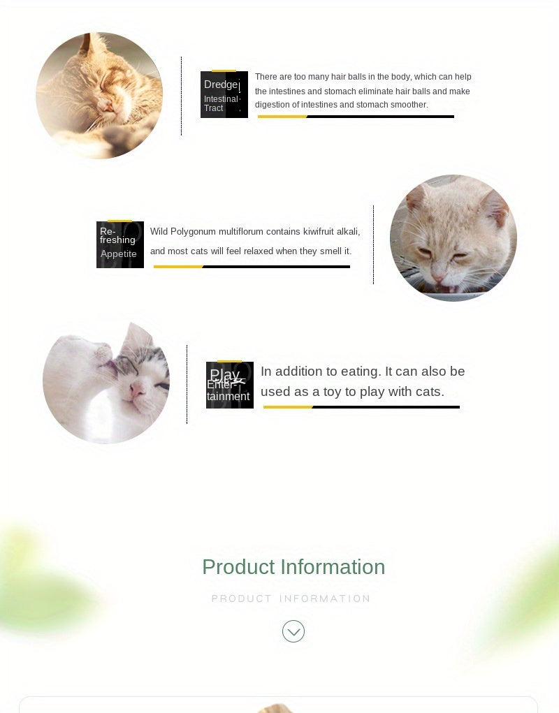 5pcs Cat-Friendly Dental Treats: All-Natural Matatabi Chew Sticks for Teeth Cleaning And Relax