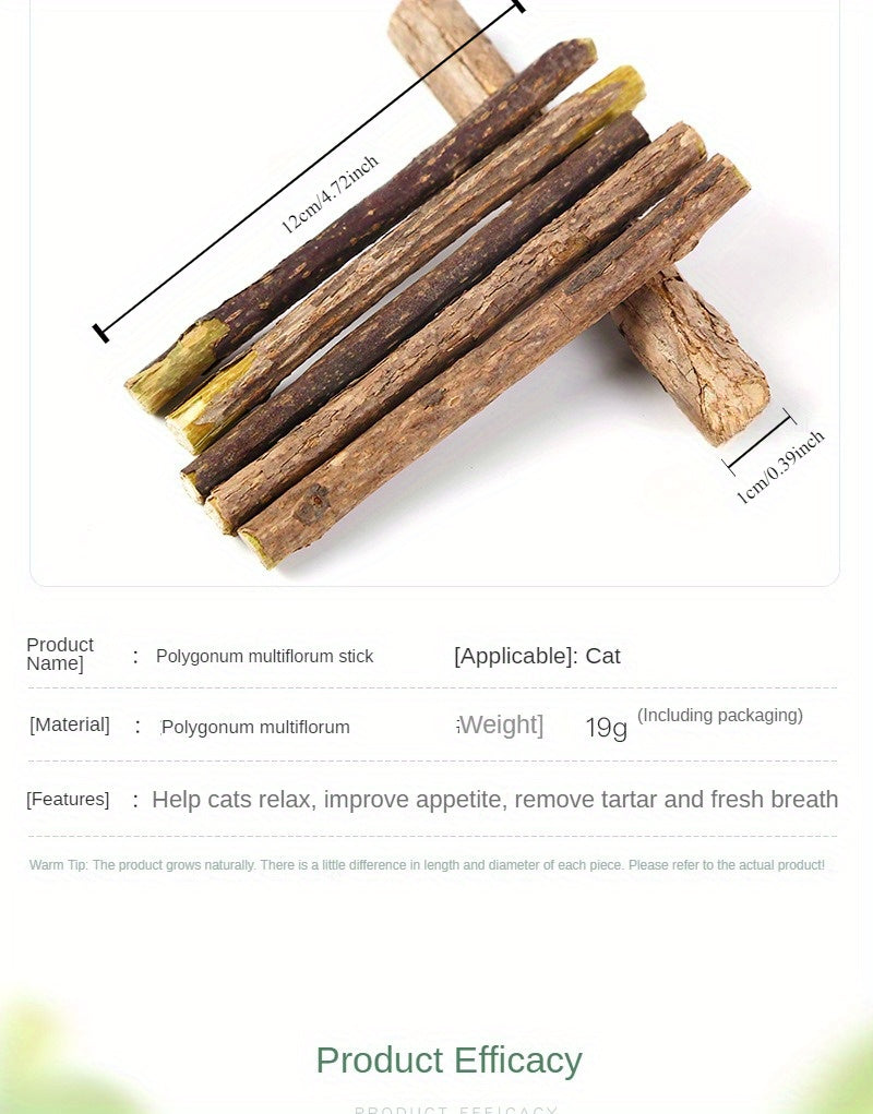 5pcs Cat-Friendly Dental Treats: All-Natural Matatabi Chew Sticks for Teeth Cleaning And Relax